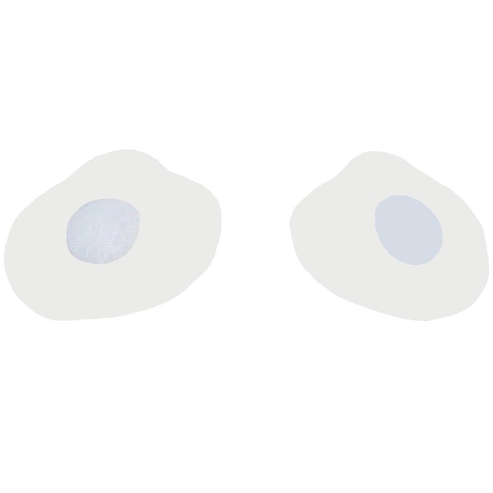 Clear Double Secure Nipple Covers Silicone Breast Petals Pasties